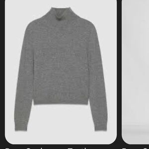 Aritzia Bare Cashmere Turtleneck